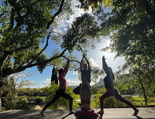 pause yoga mas des violettes carrousel