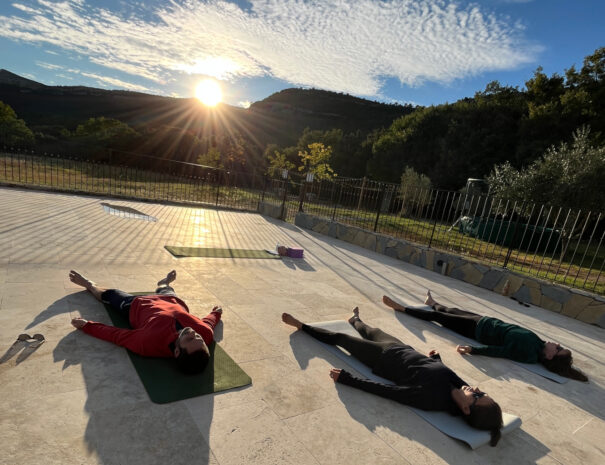 stage yoga face pic saint loup montpellier